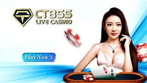 CT855-Casino
