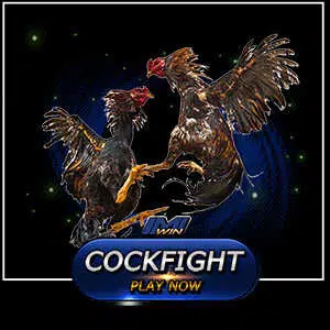 online-cockfighting-category